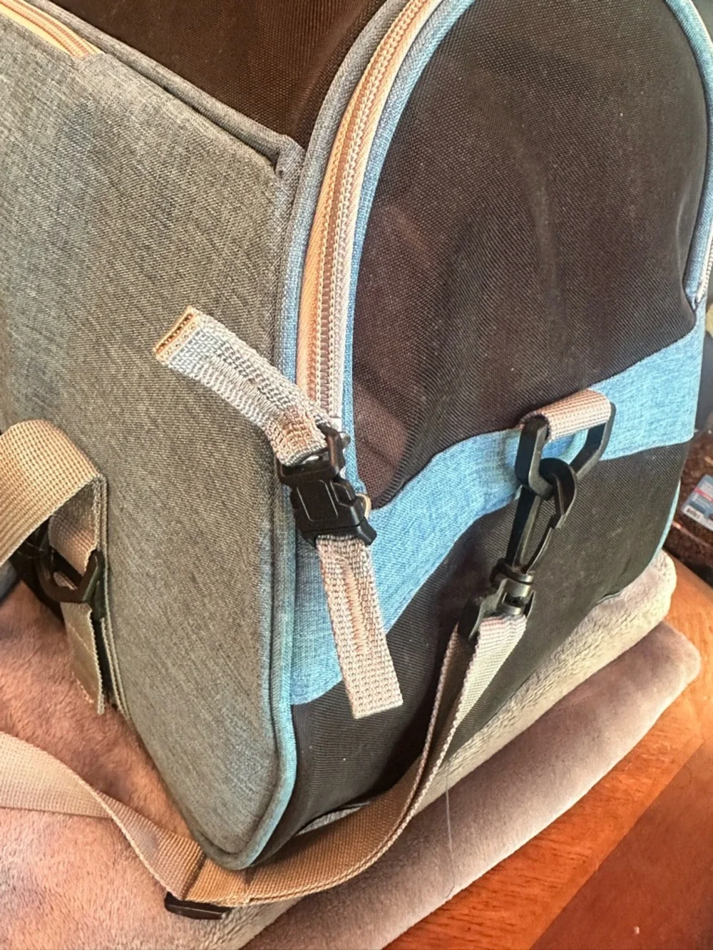 Blue Soft-Sided Pet Carrier with Gray Straps